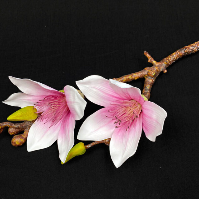 Upea magnolia tekokukka, viininpunainen
