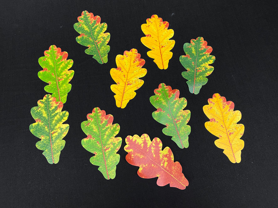 Tammen tekolehdet syksyn väreissä 10kpl