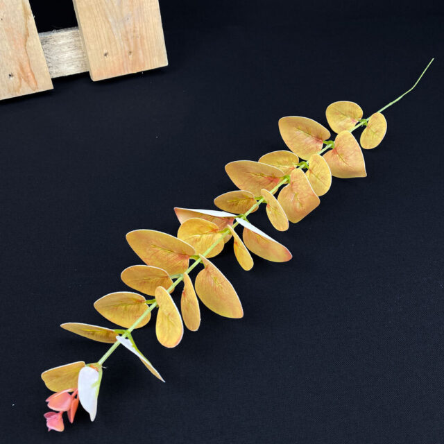 Ruskea eukalyptus teko-oksa