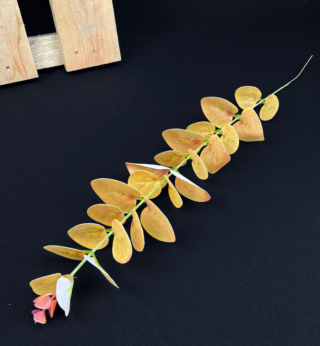 Ruskea eukalyptus teko-oksa
