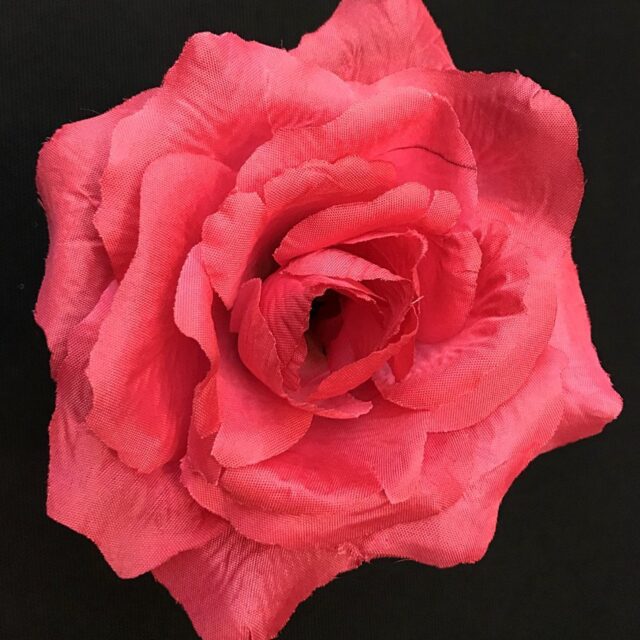 Pensasruusu tekokukkapää, tumma pinkki