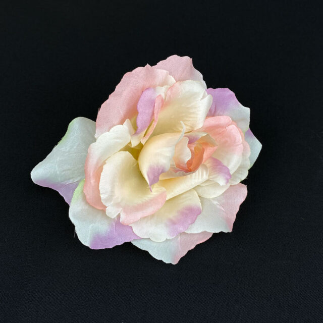 Pensasruusu-kukkapää, kerma/rosa