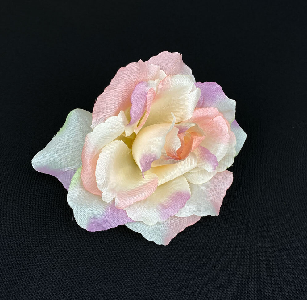 Pensasruusu-kukkapää, kerma/rosa