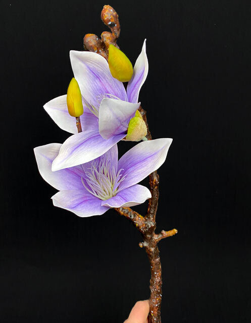 Magnolia kestokukka, violetti