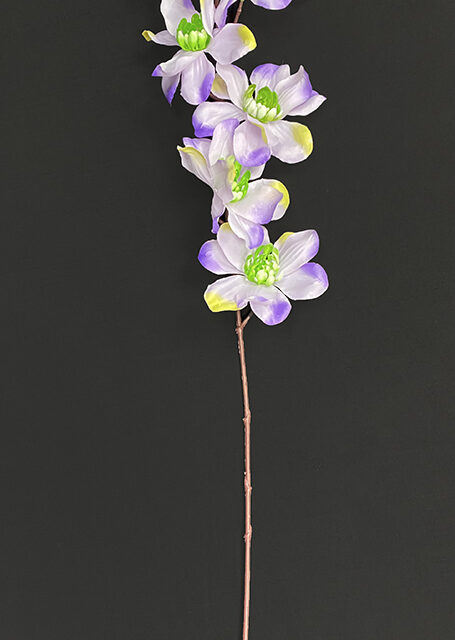 Magnolia tekokukka, violetti