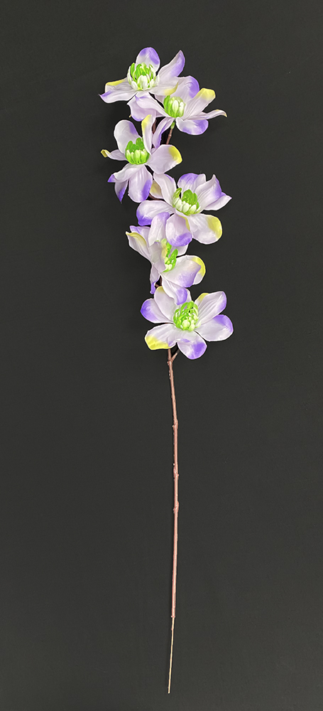 Magnolia tekokukka, violetti