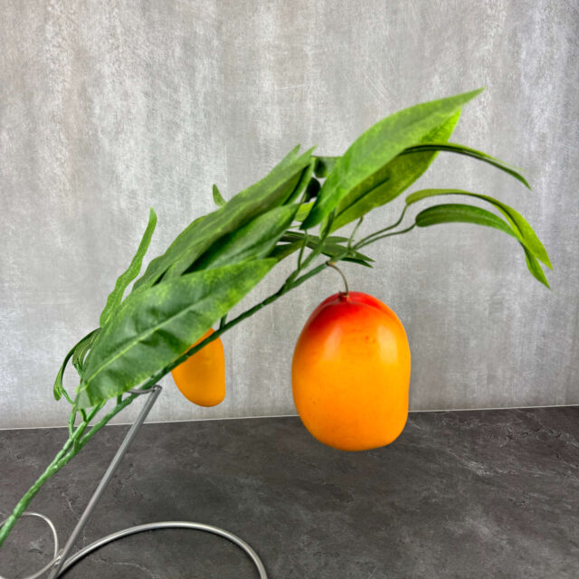 Mangon tekolehti hedelmillä