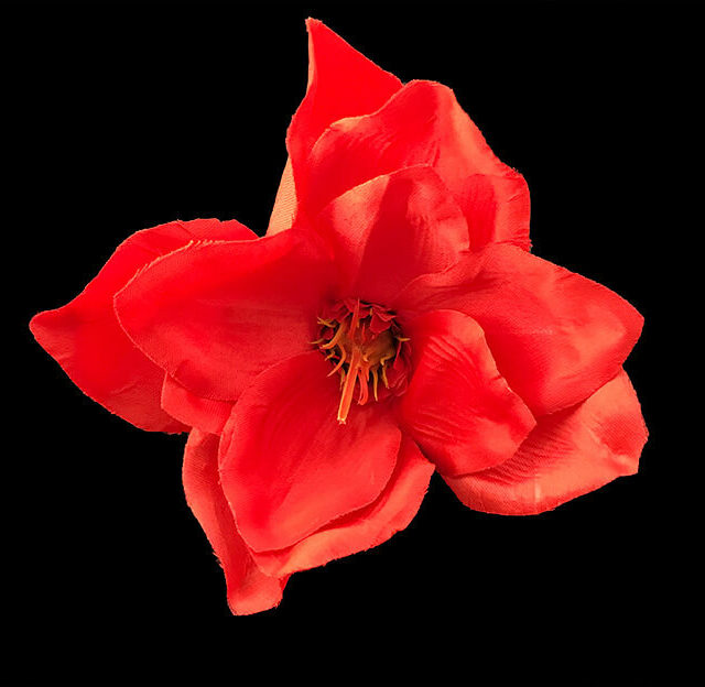 Magnolia tekokukkapää, punainen