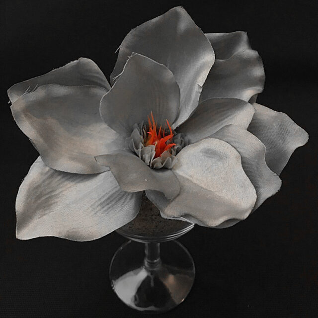 Magnolia tekokukkapää, harmaa