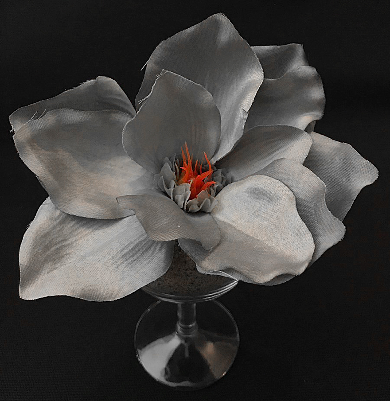 Magnolia tekokukkapää, harmaa