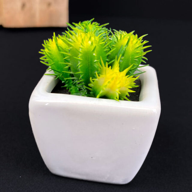 Minikaktus tekokasvi ruukussa 7cm