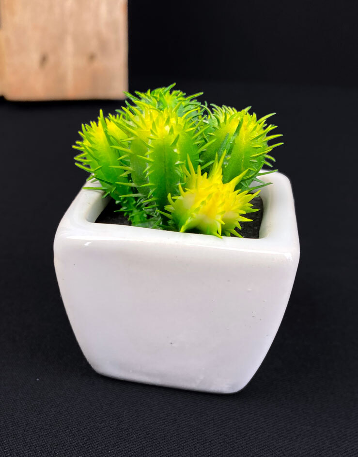 Minikaktus tekokasvi ruukussa 7cm