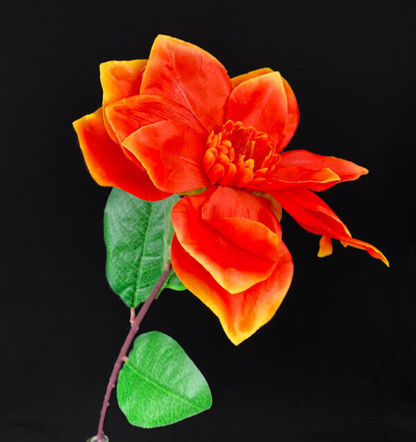 Oranssi magnolia tekokukka 72cm
