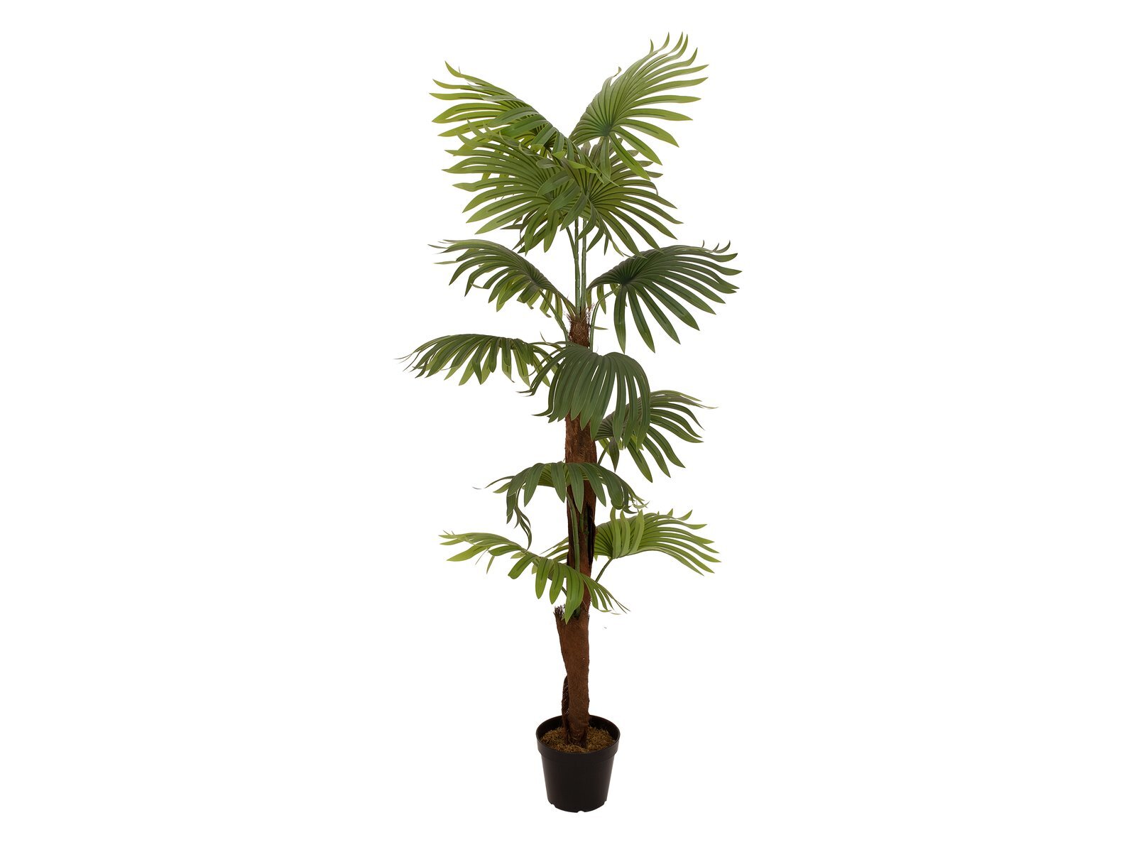 Viuhkapalmu tekopalmu 155 cm - Image 2