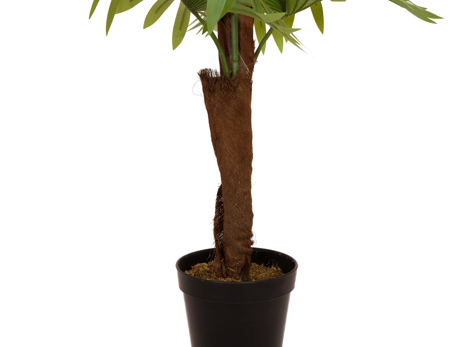 Viuhkapalmu tekopalmu 155 cm - Image 3