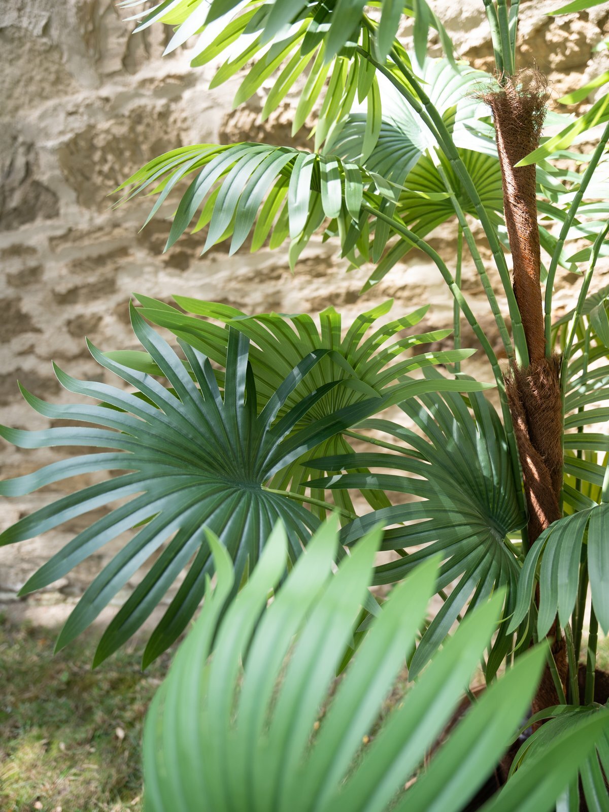 Viuhkapalmu tekopalmu 155 cm - Image 6