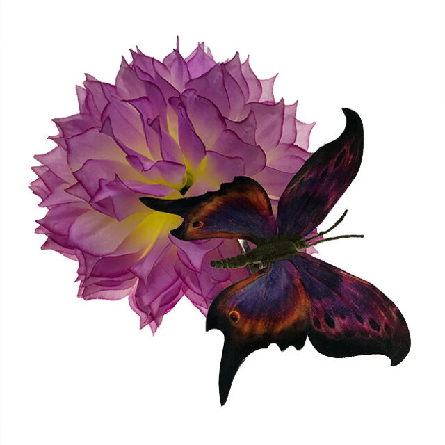 Koristeperhonen metalliklipsillä, violetti