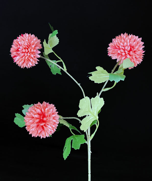Krysanteemi kestokukka, rosa