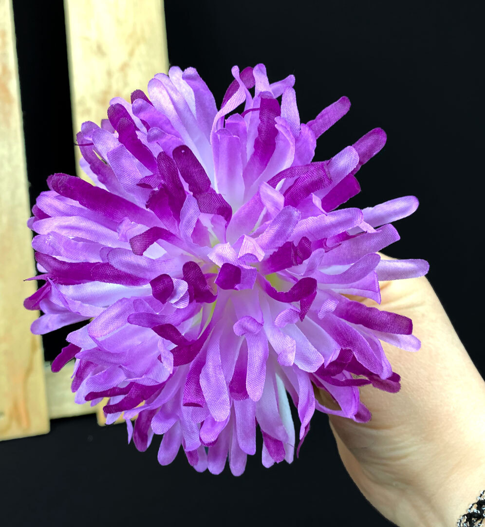 Krysanteemi kestokukkapää, violetti