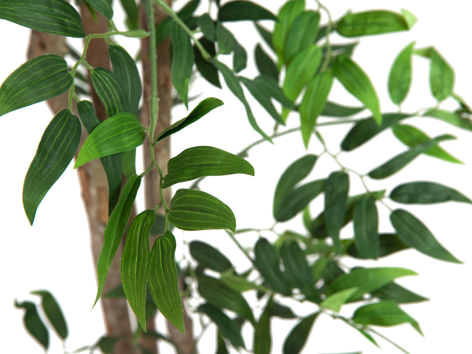 Tekopuu Ficus longifolia vihreä 165 cm - Image 2