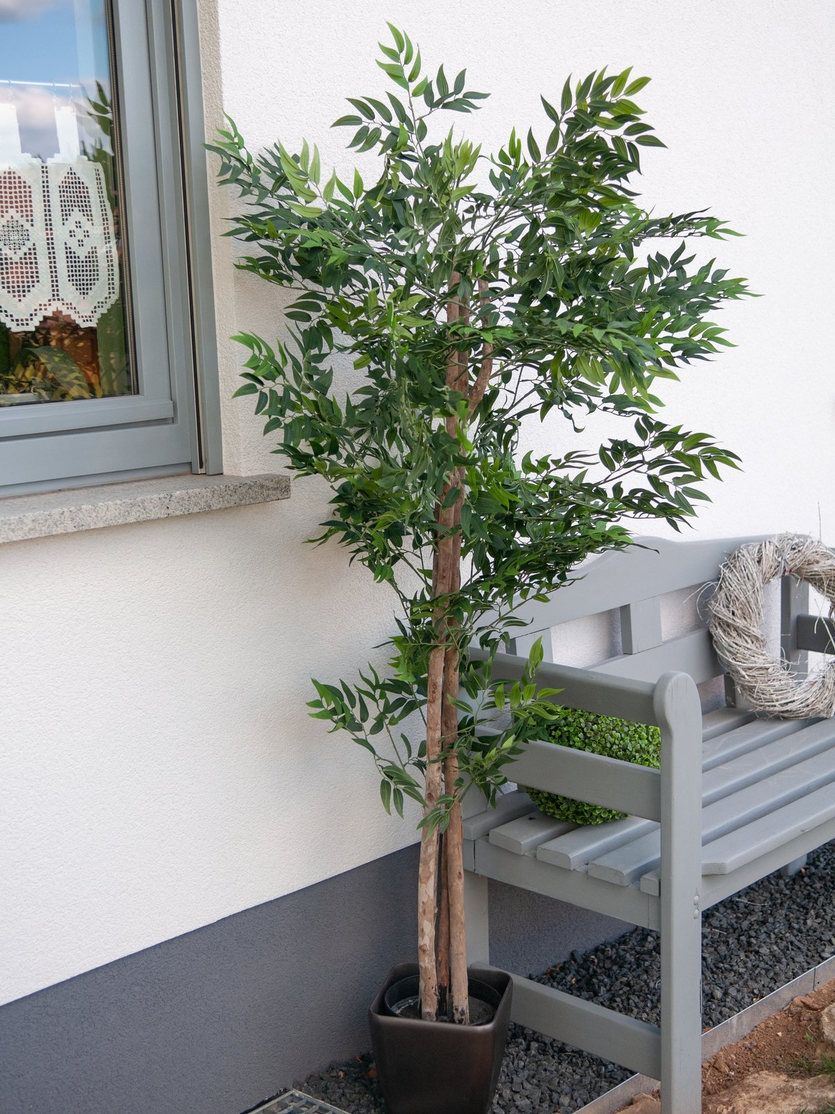 Tekopuu Ficus longifolia vihreä 165 cm - Image 5