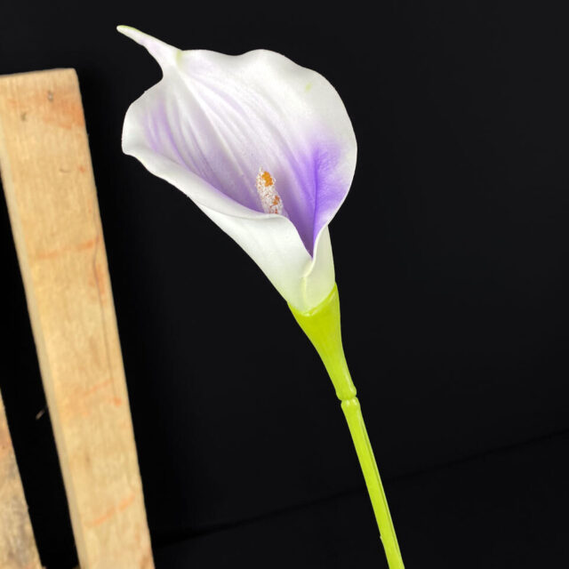 Kalla tekokukka, valkoinen/violetti