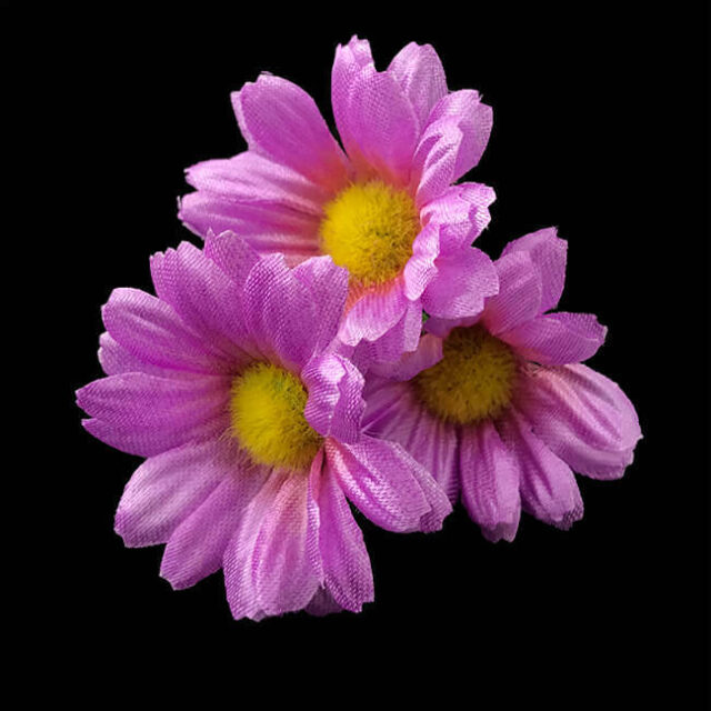 Kamomilla tekokukkapää, violetti