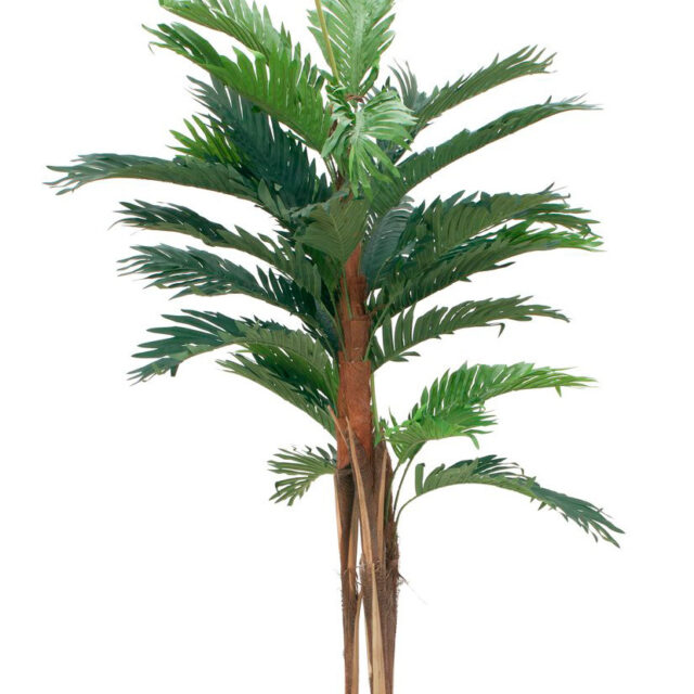 Kentia -tekopalmu 120cm