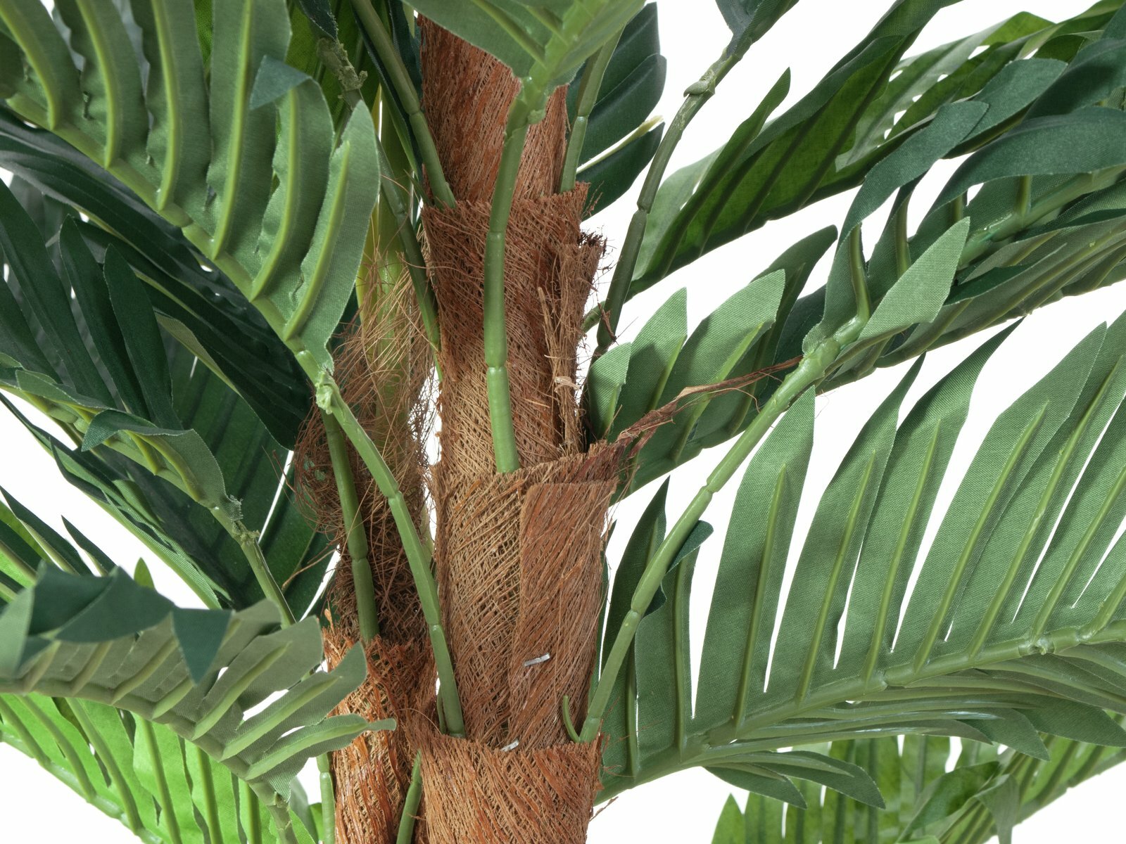 Kentia-tekopalmu 120 cm - Image 3