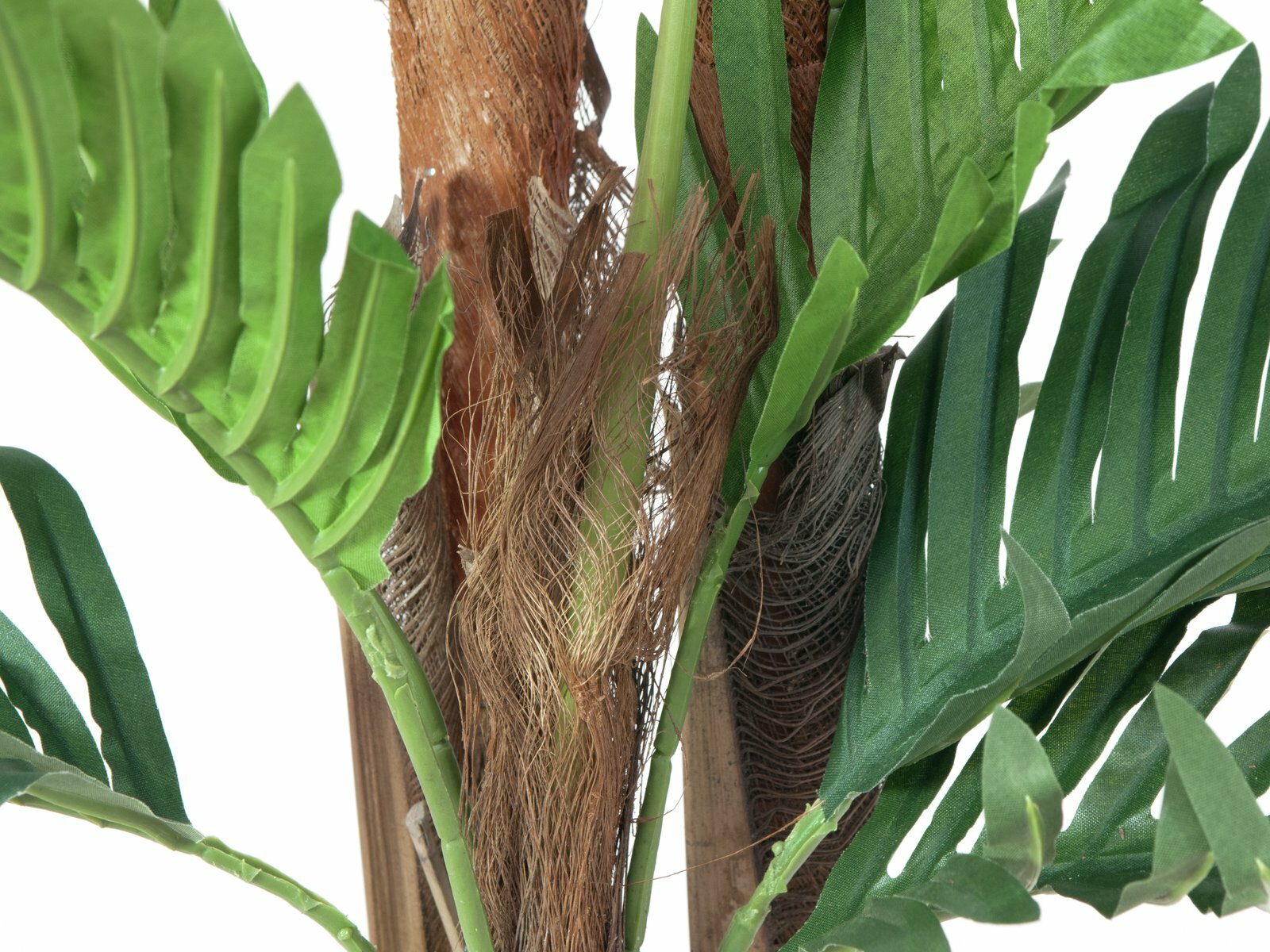 Kentia-tekopalmu 120 cm - Image 4
