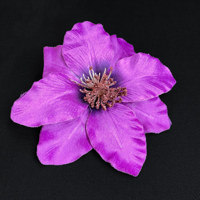 Kestokukkapää kärhö, violetti