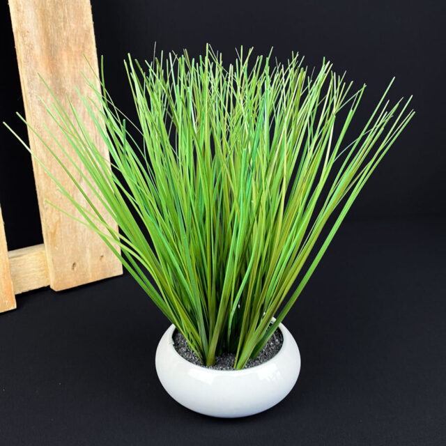 Koristeheinä ruukussa 27cm