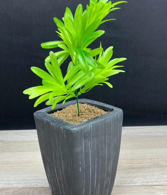 Koristeheinä, vihreä