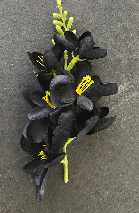 Freesia tekokukkapää, musta - Image 2