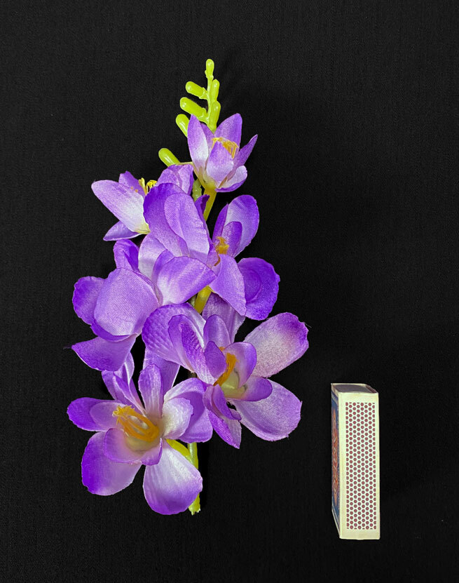 Freesia tekokukkapää, violetti - Image 2
