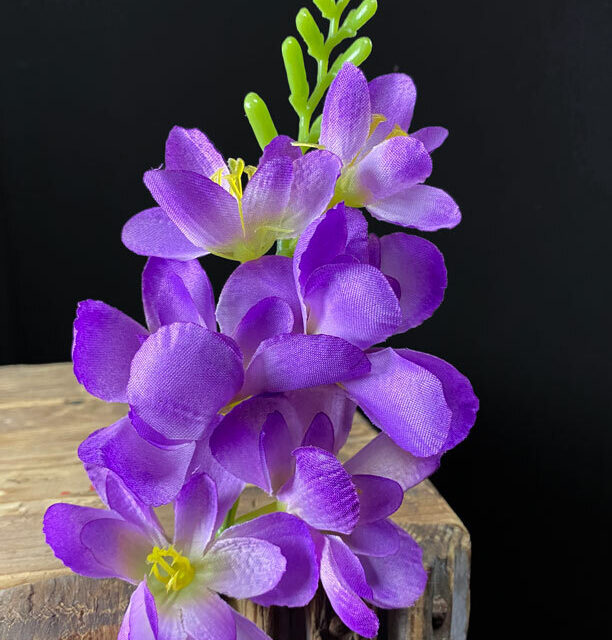 Freesia tekokukkapää, violetti