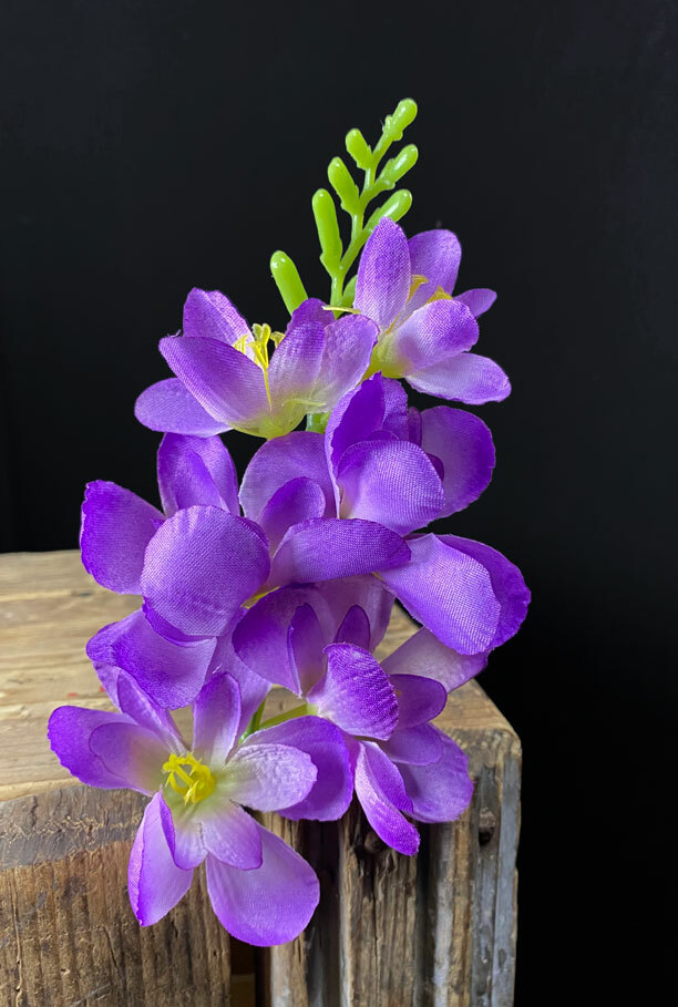 Freesia tekokukkapää, violetti