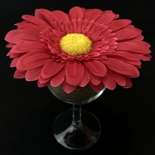 Gerbera tekokukkapää, viininpunainen