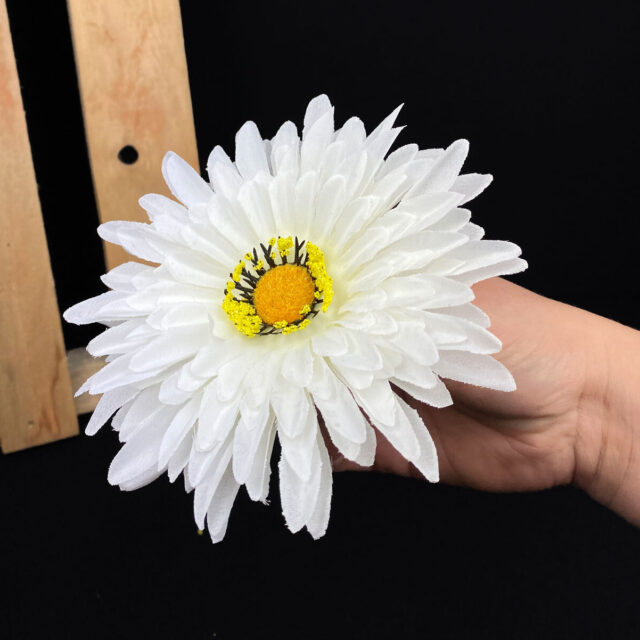 Gerbera tekokukkapää, valkoinen