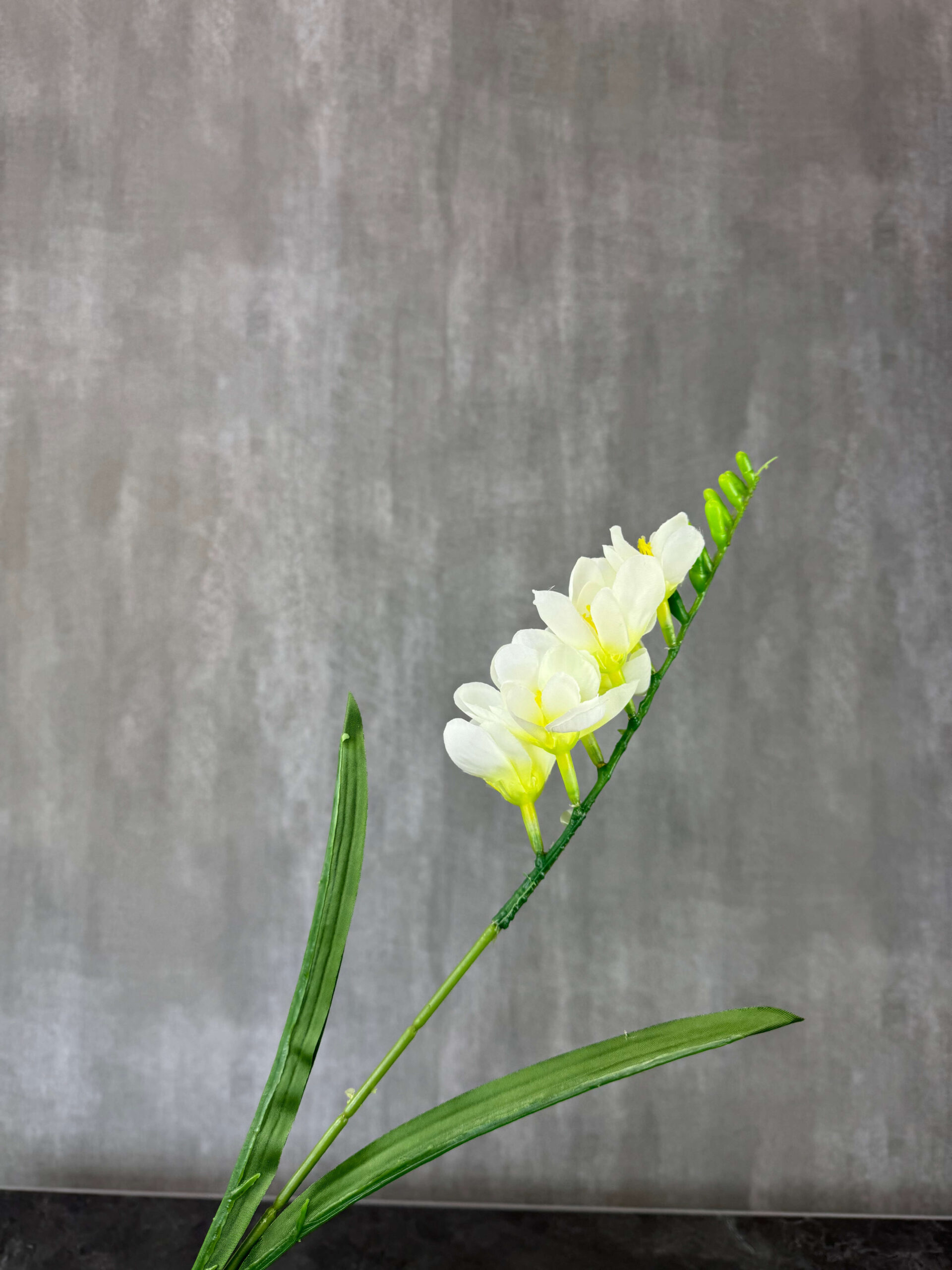Freesia tekokukka, valkoinen/vihreä