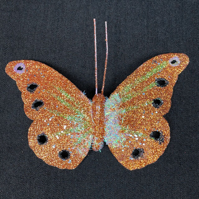 Glitter-koristeperhonen, kupari