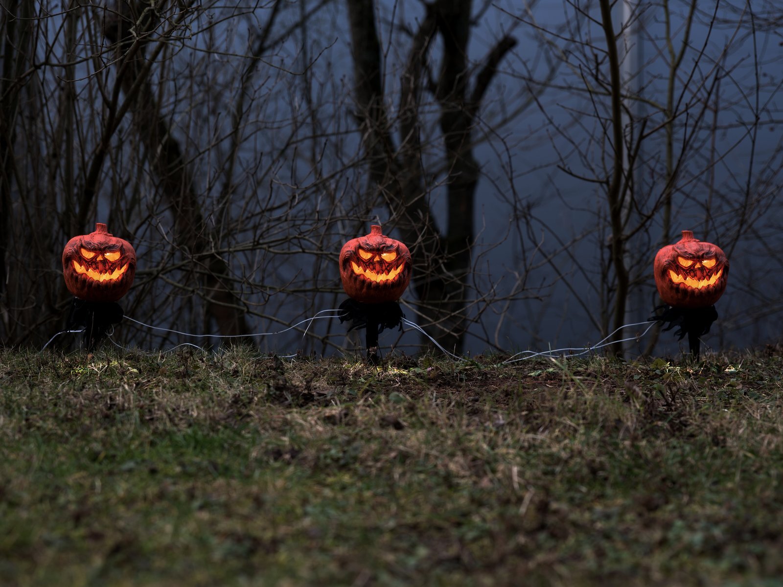 Halloween-kurpitsat maapiikeillä, 3 kpl, 39 cm - Image 2