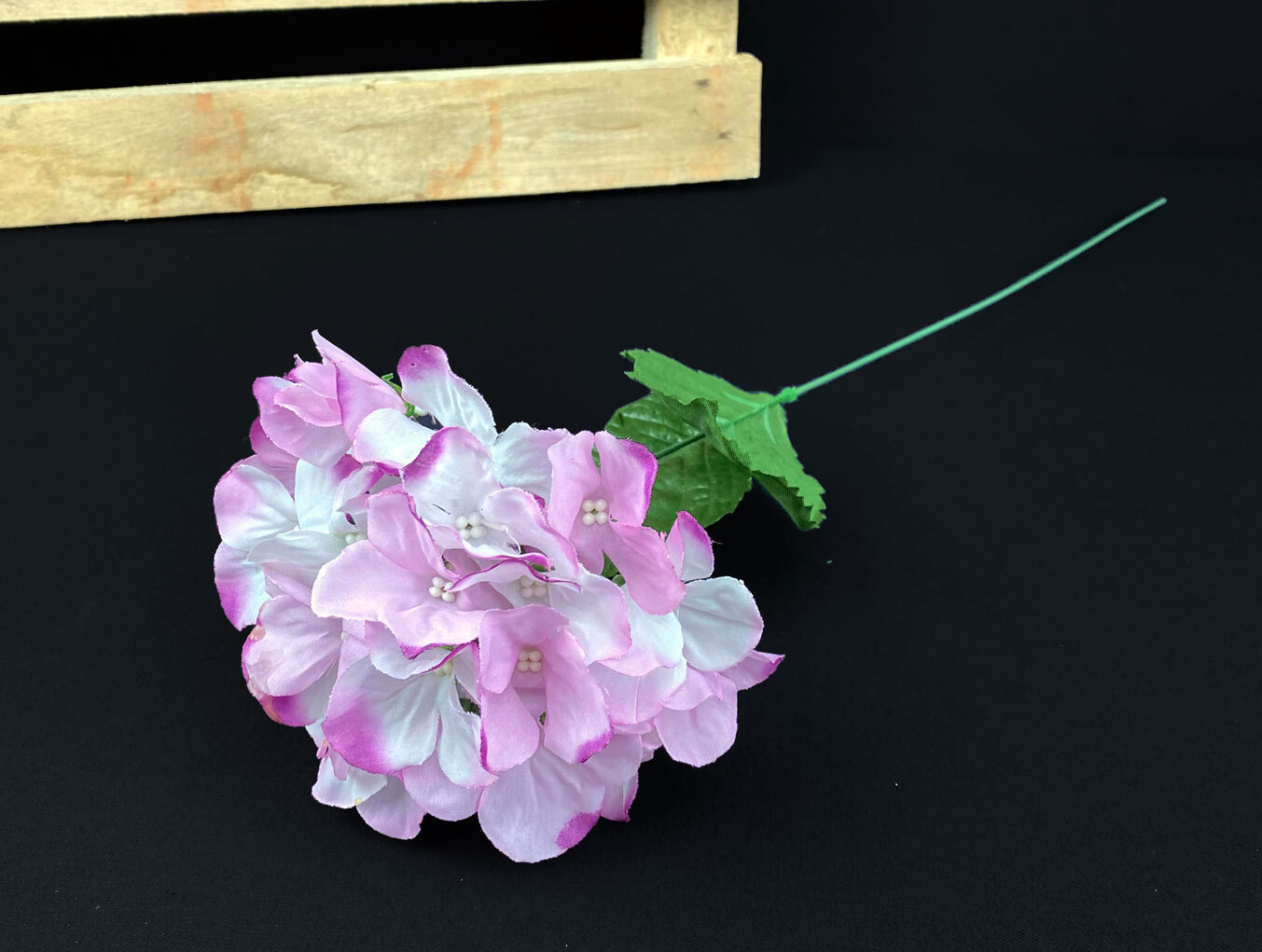 Hortensia kestokukka, violetti - Image 2