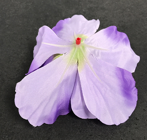 Hibiskus kestokukkapää, laventeli - Image 4