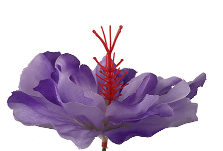 Hibiskus kestokukkapää, laventeli - Image 2