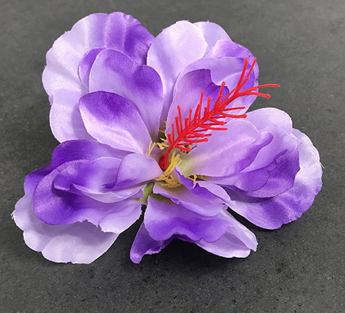 Hibiskus kestokukkapää, laventeli - Image 3