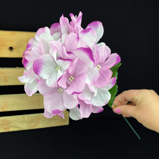 Hortensia kestokukka, violetti
