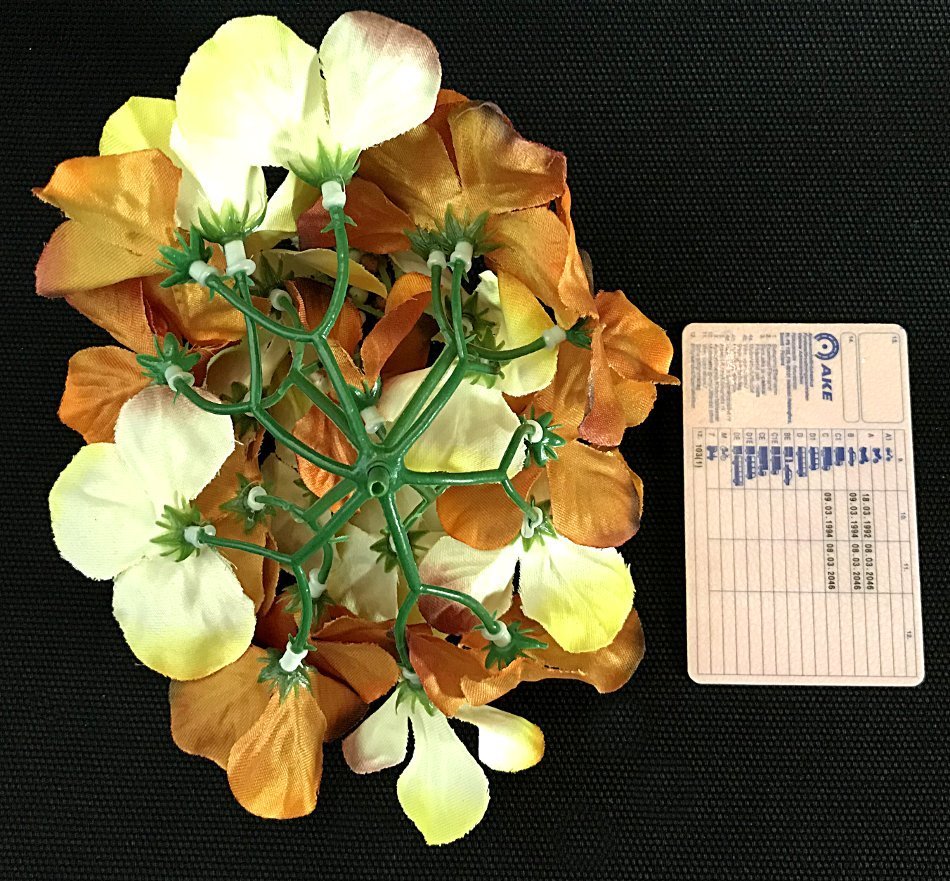 Hortensia tekokukkapää - ruoste/keltainen - Image 2
