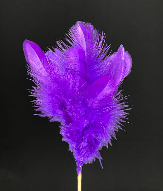 Höyhenkoriste, violetti