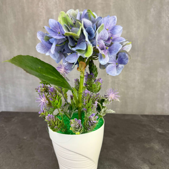 Hortensia tekokukka-asetelma, sininen